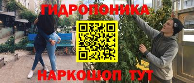 индика Нарткала