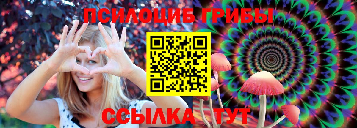 Галлюциногенные грибы GOLDEN TEACHER  наркошоп  Вход с VPN  Тихорецк  Галлюциногенные грибы прущие грибы 