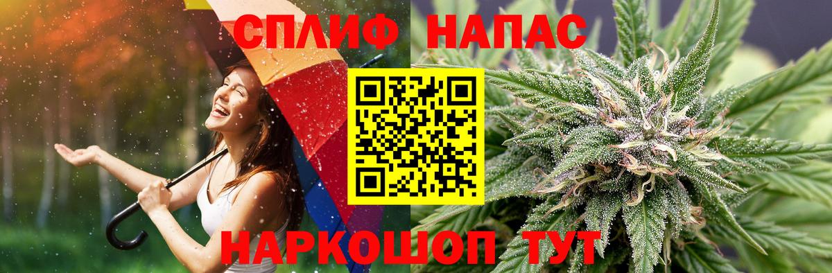 Шишки марихуана MAZAR  Канабис планчик  Вход с VPN  Тихорецк 